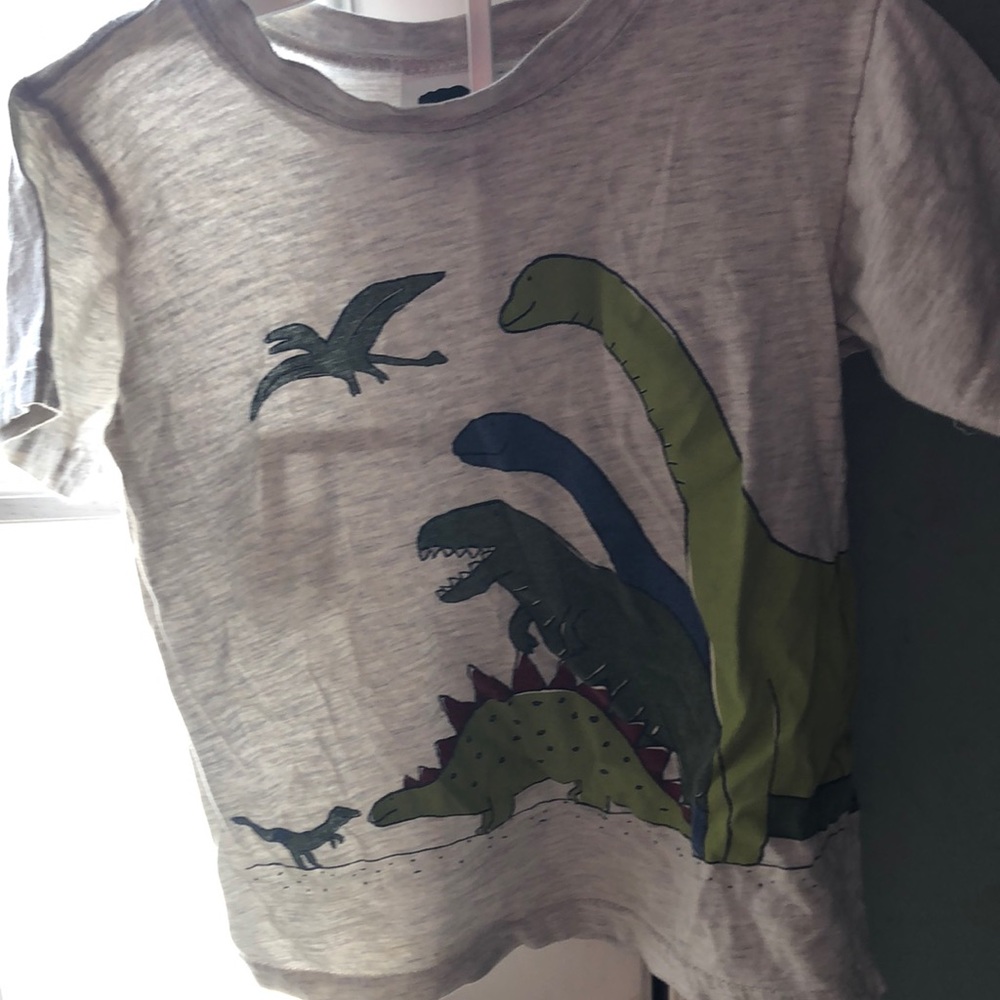 Mulberrybush dinosaur soft t-shirt 3T org. Cotton